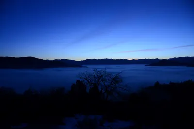 DSC_1072 (Large).JPG